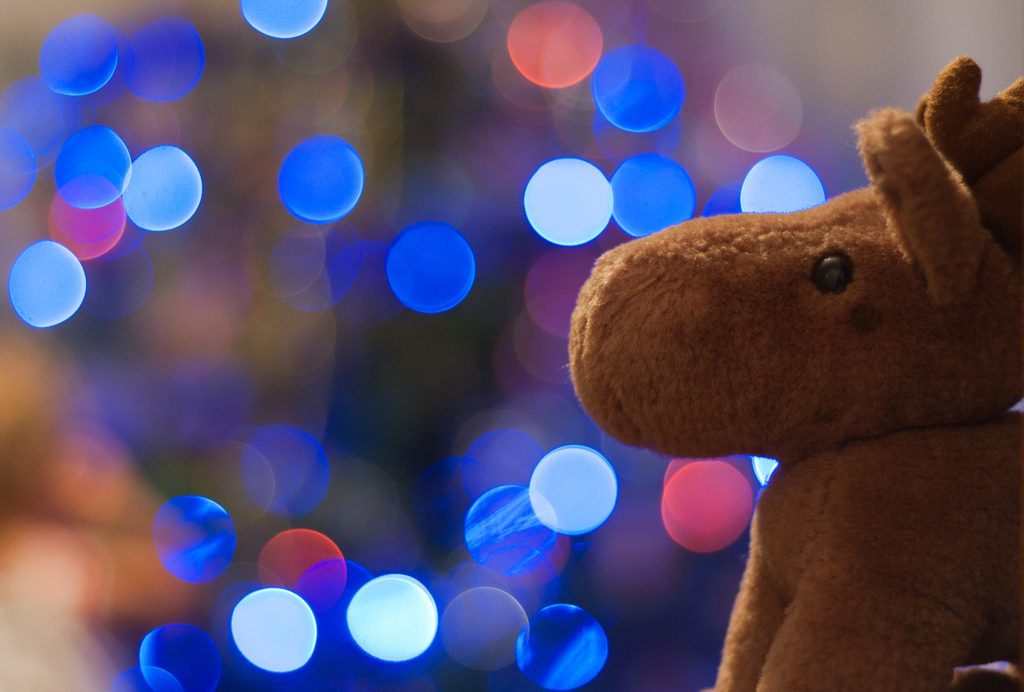 ���������� ����