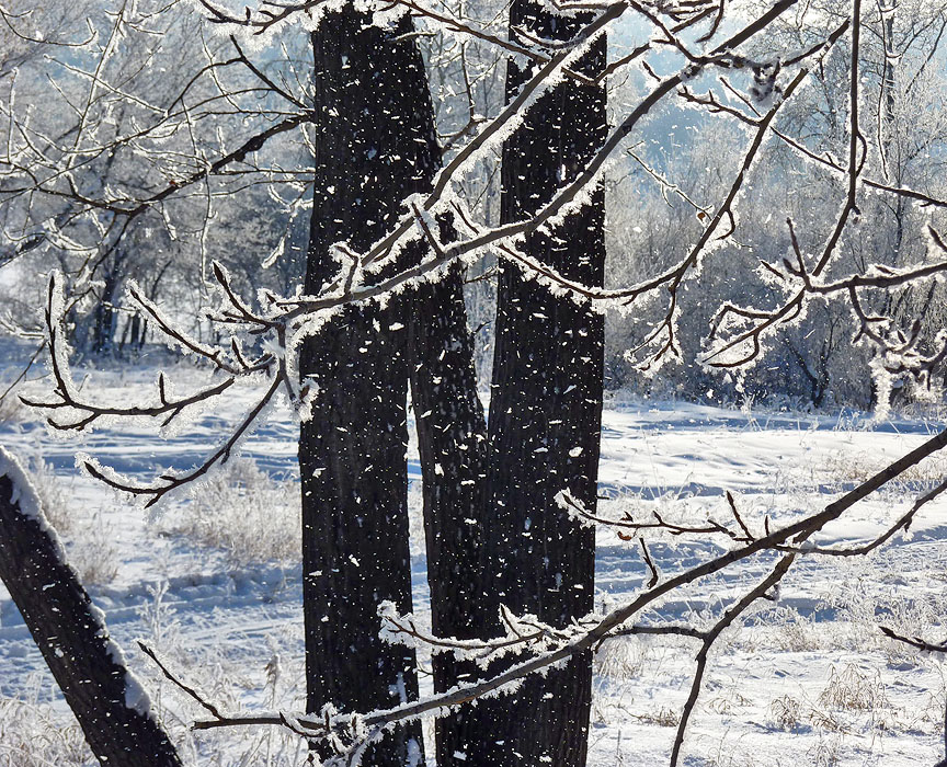 ���� ������� ����� � ����� ...