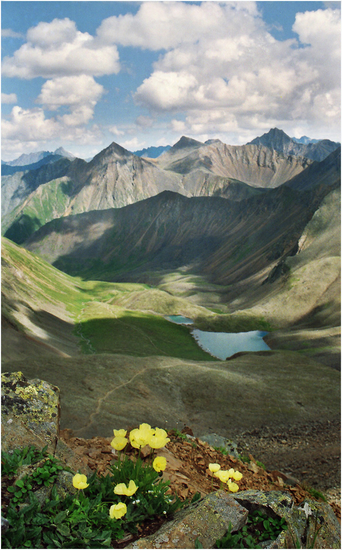 ���� �� ��������