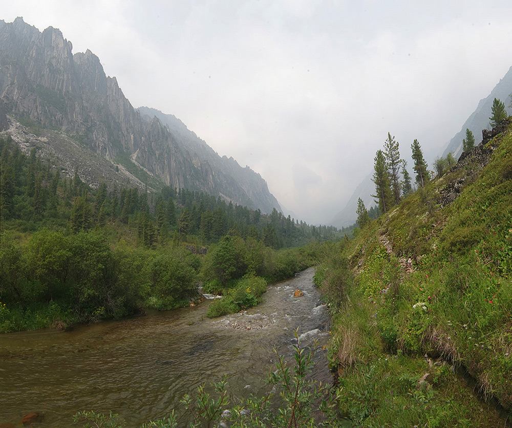 � ������ ���-��������