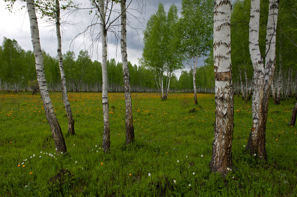 �������� ����...