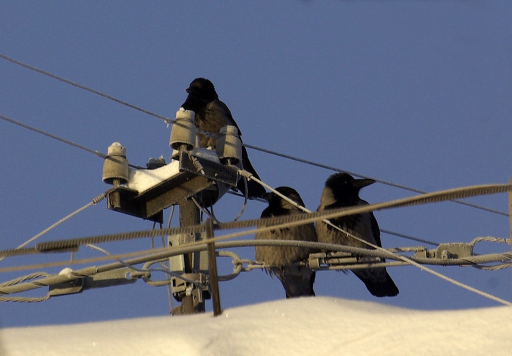 ����� �� �����