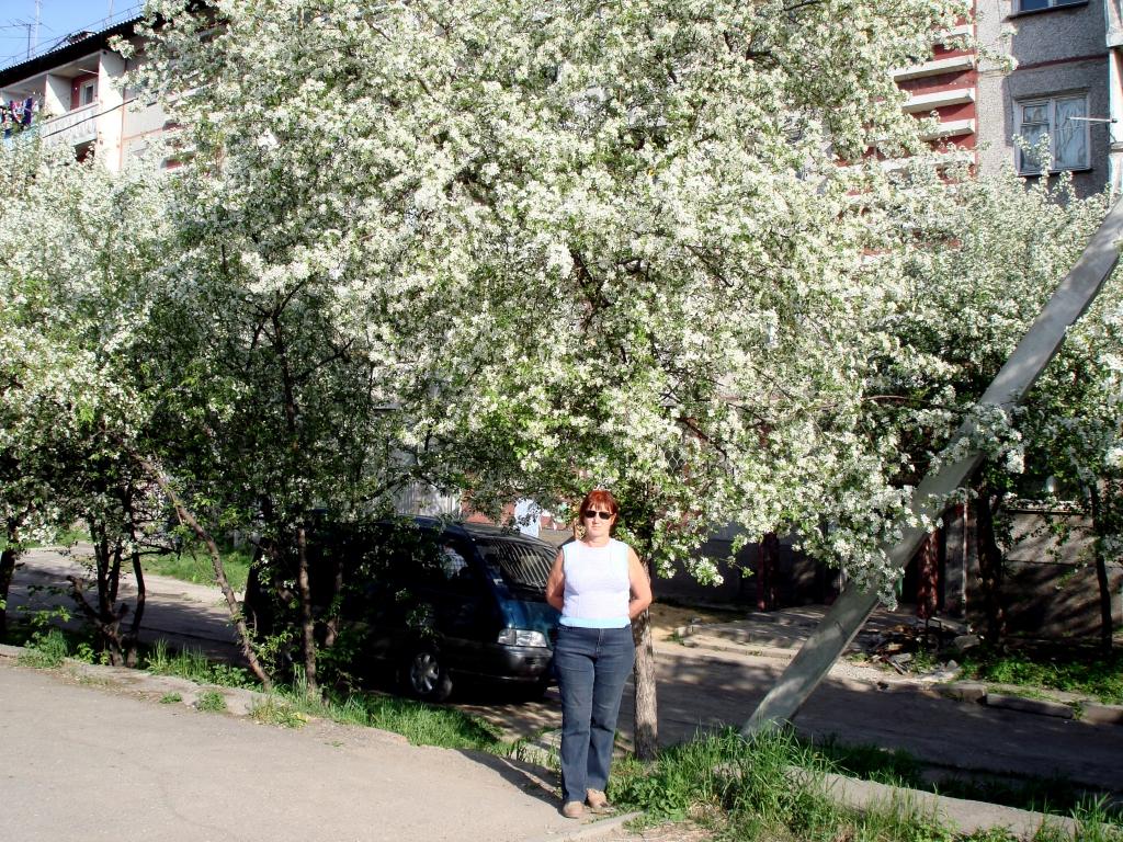 ���-�� � �������������