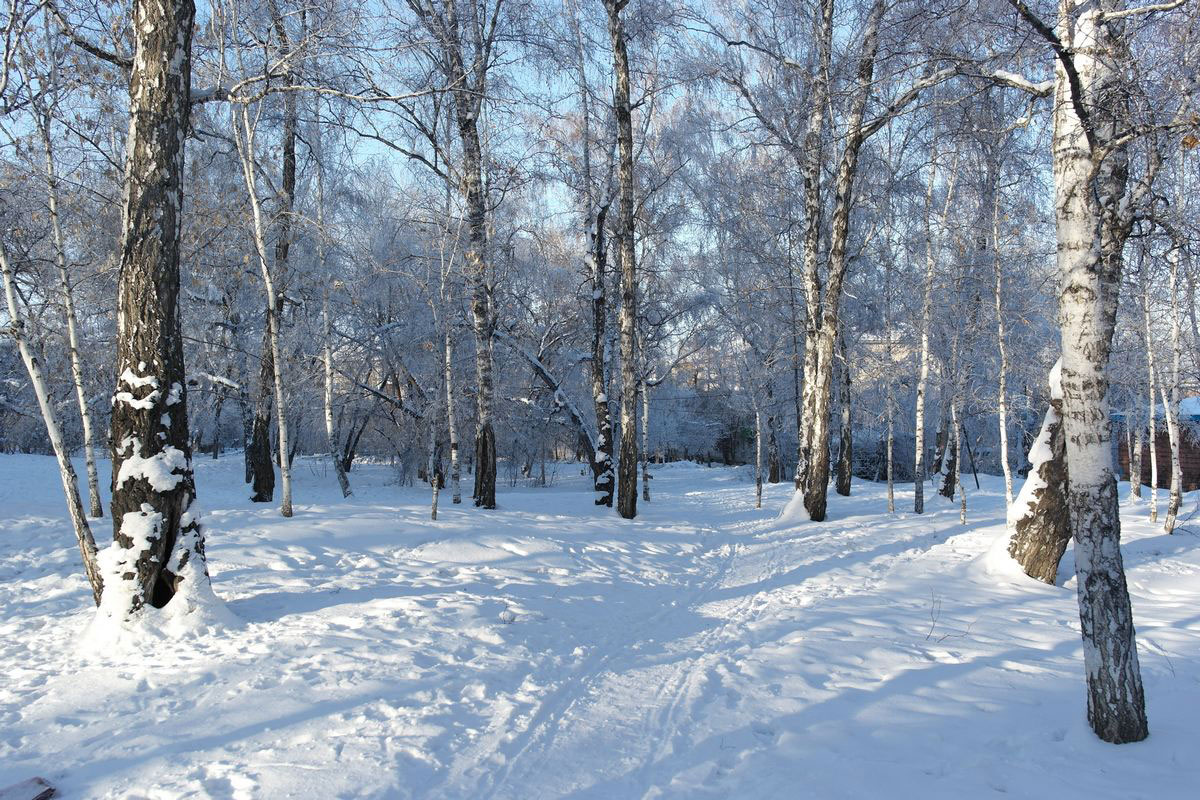 ������� ����� ����� �������