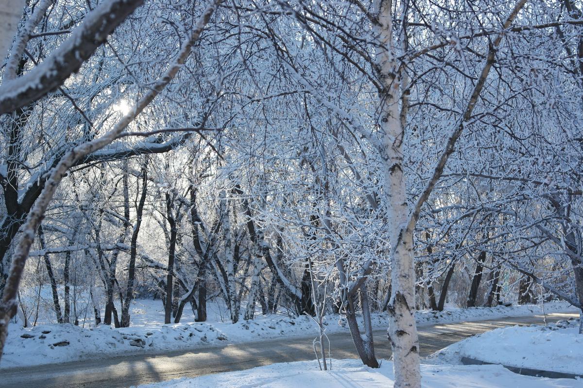 ��������� ����