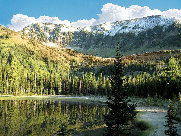 ��������� ���� ������