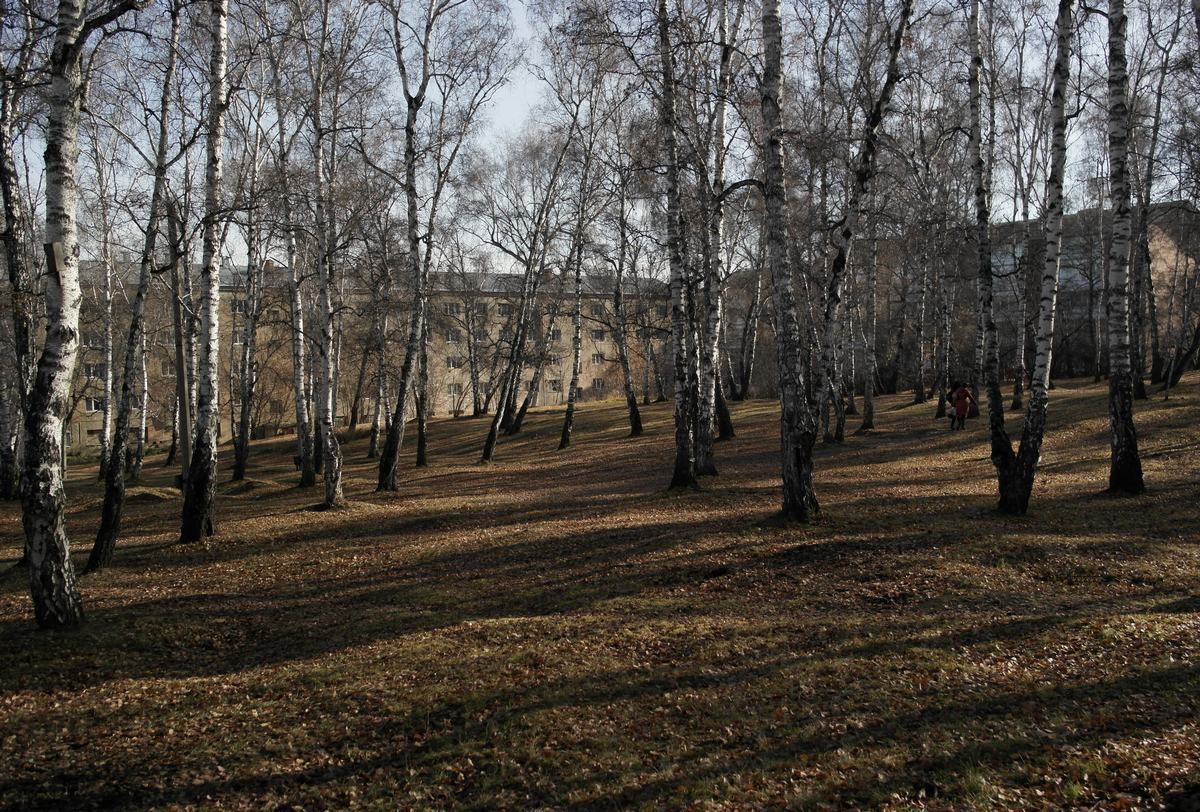 "�����, �����, ��� ����� � ������ �������"