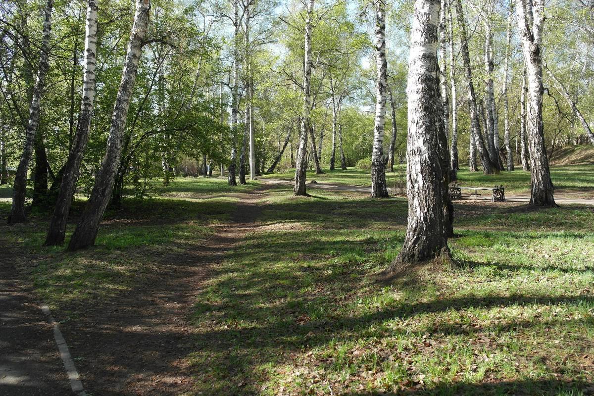 �������, ���������