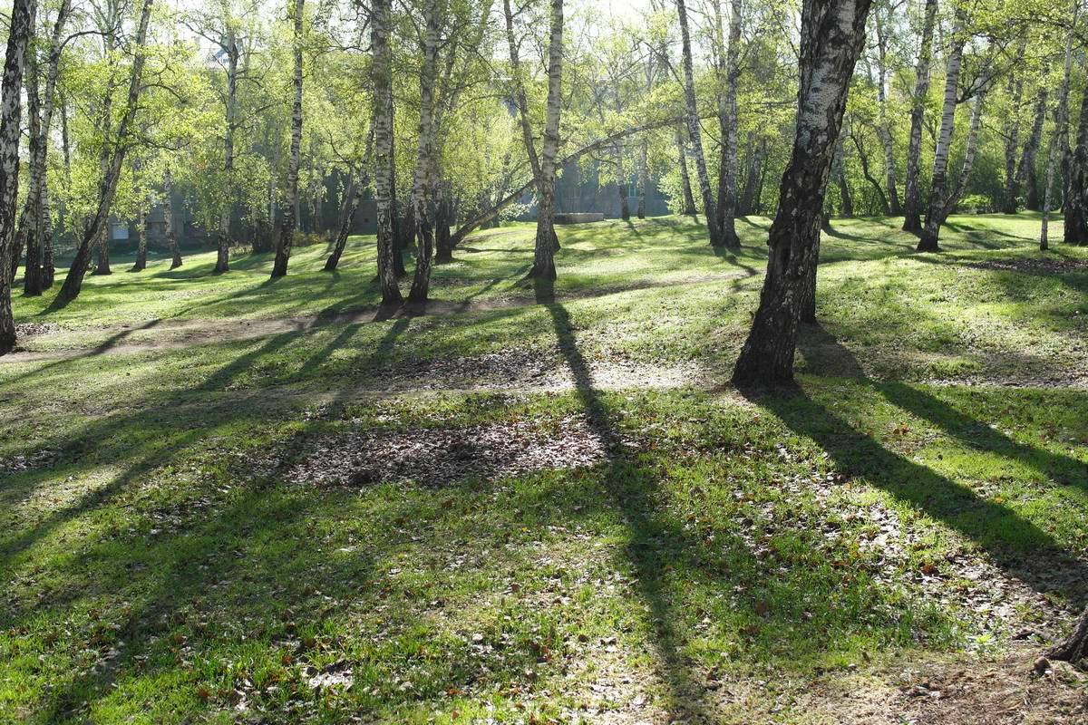 ��� �� ���?