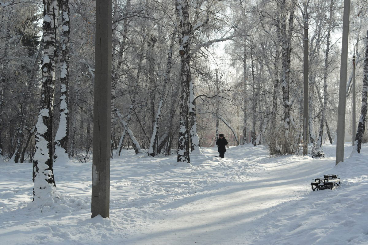 ������� ������� - ����� ���� �� �������