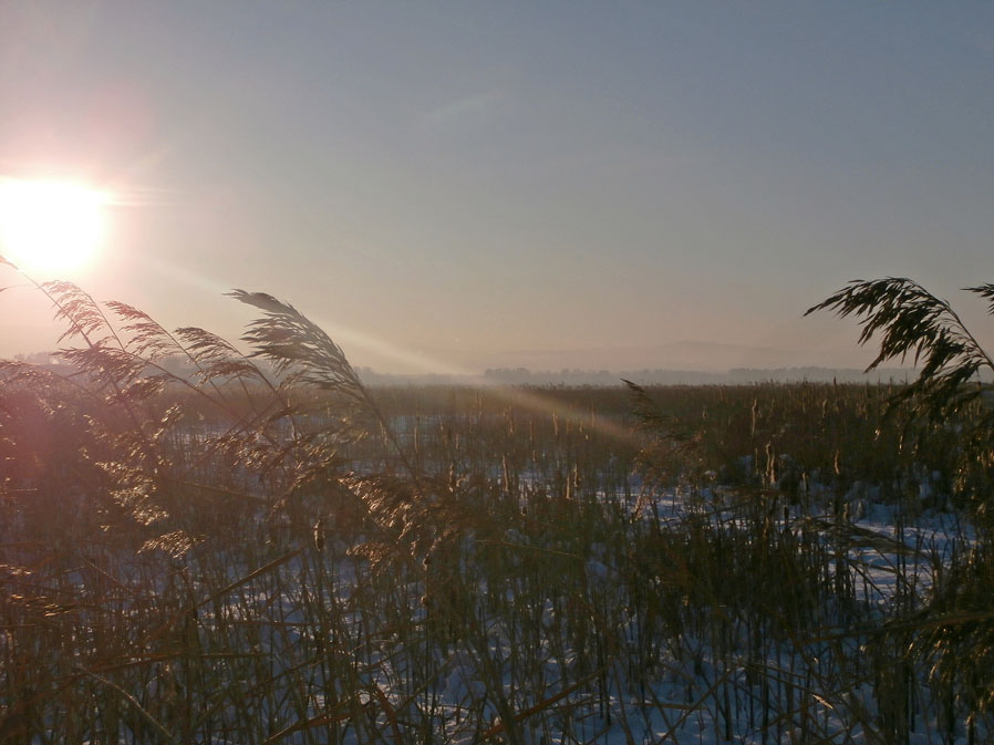 ��������...