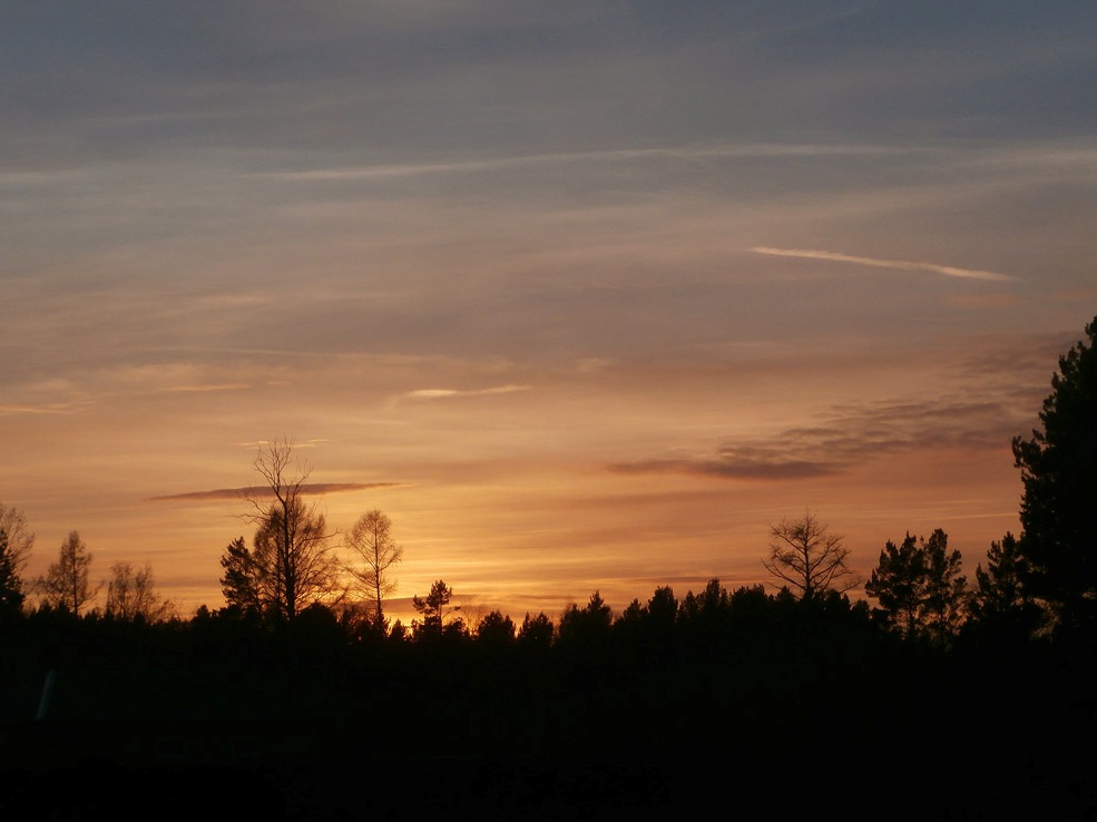 �������� �������