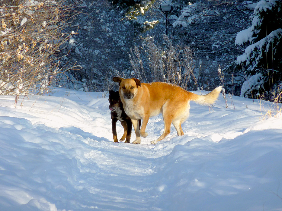 � �������� � ����� � ...