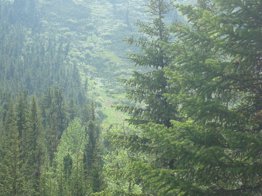 ����� �������!!!