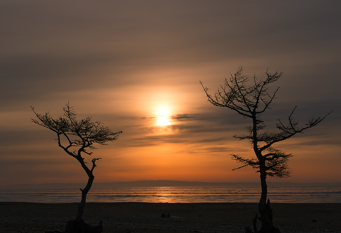 ������������� �����