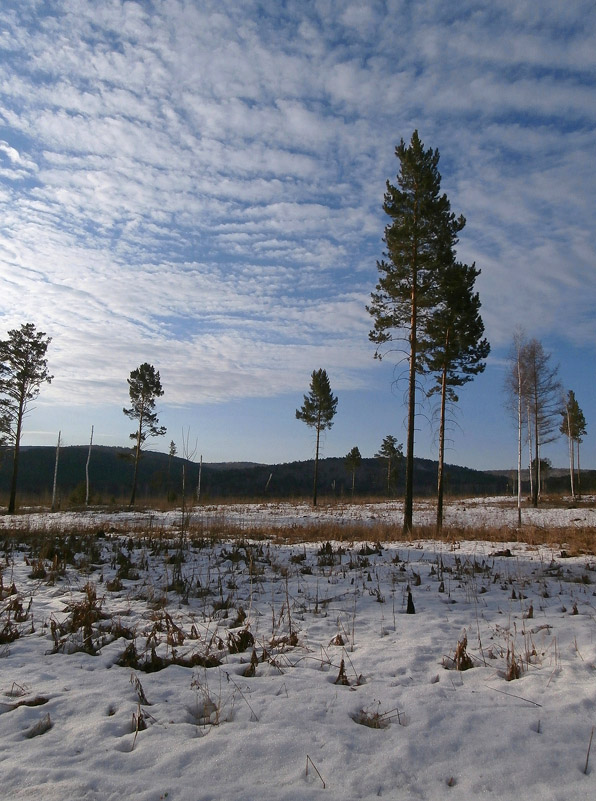 �������� �����