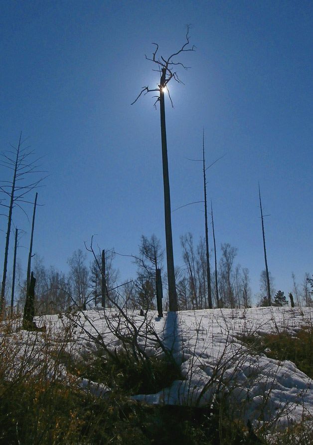 ...���������� ����...