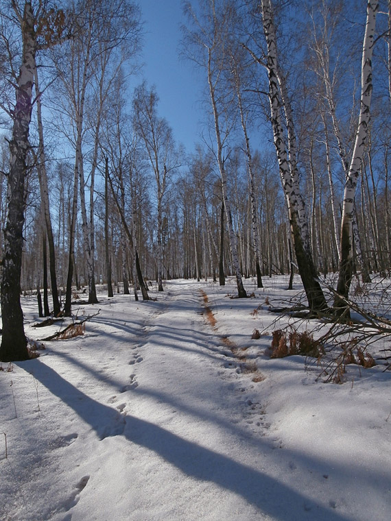 � ���������