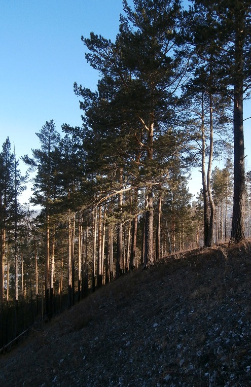 ����� �� ������