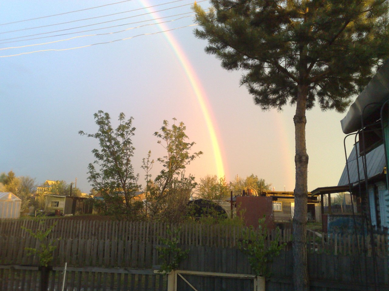 ������ ������