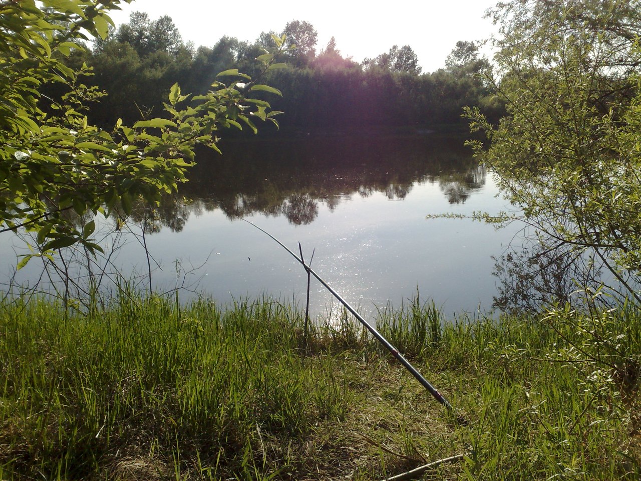 ���� ���