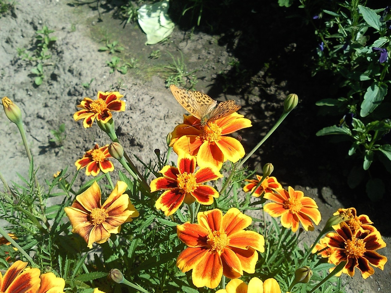 �������