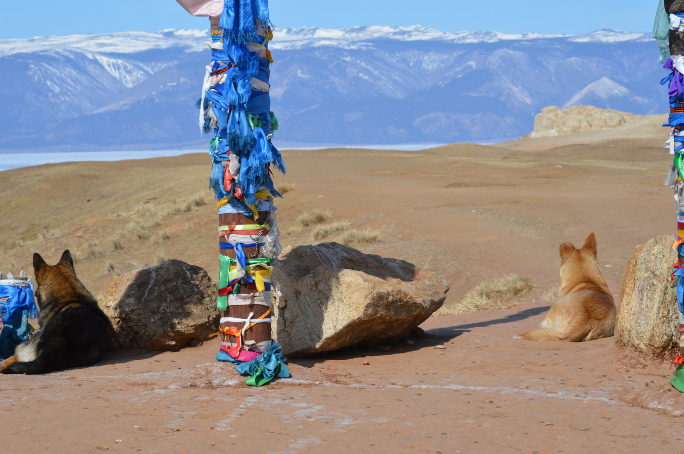 ���� ������ �������