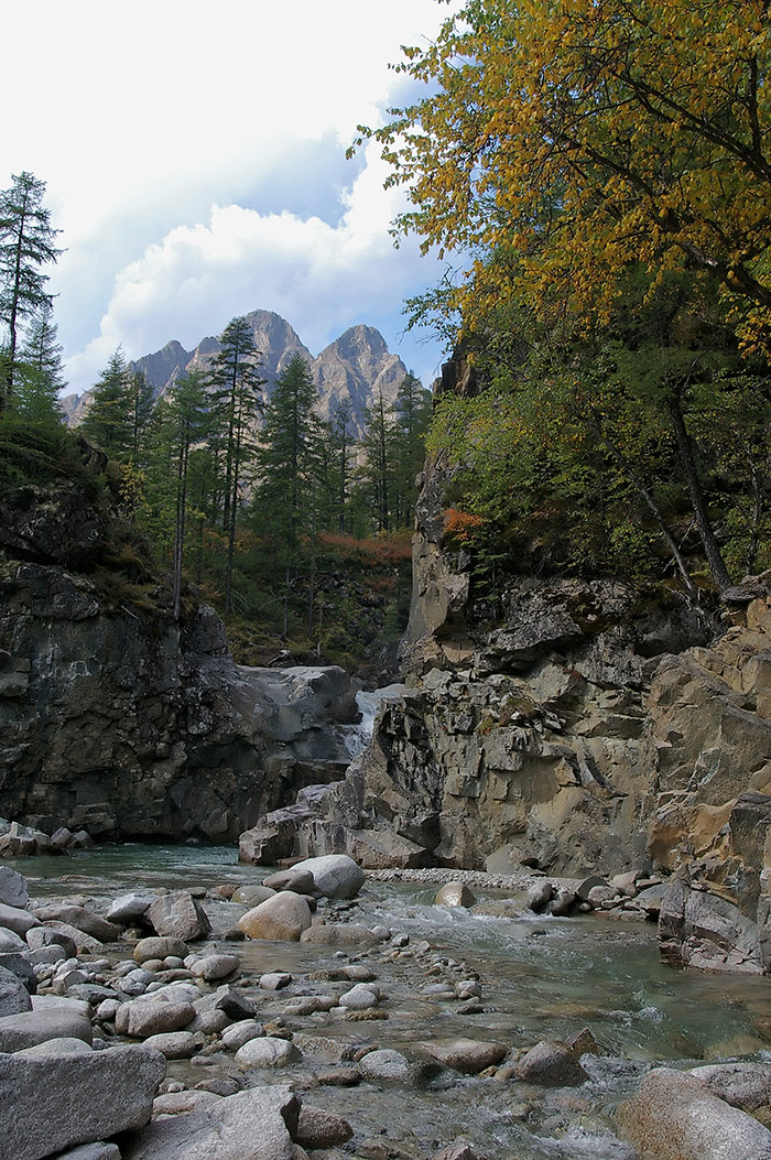 ���� � ������