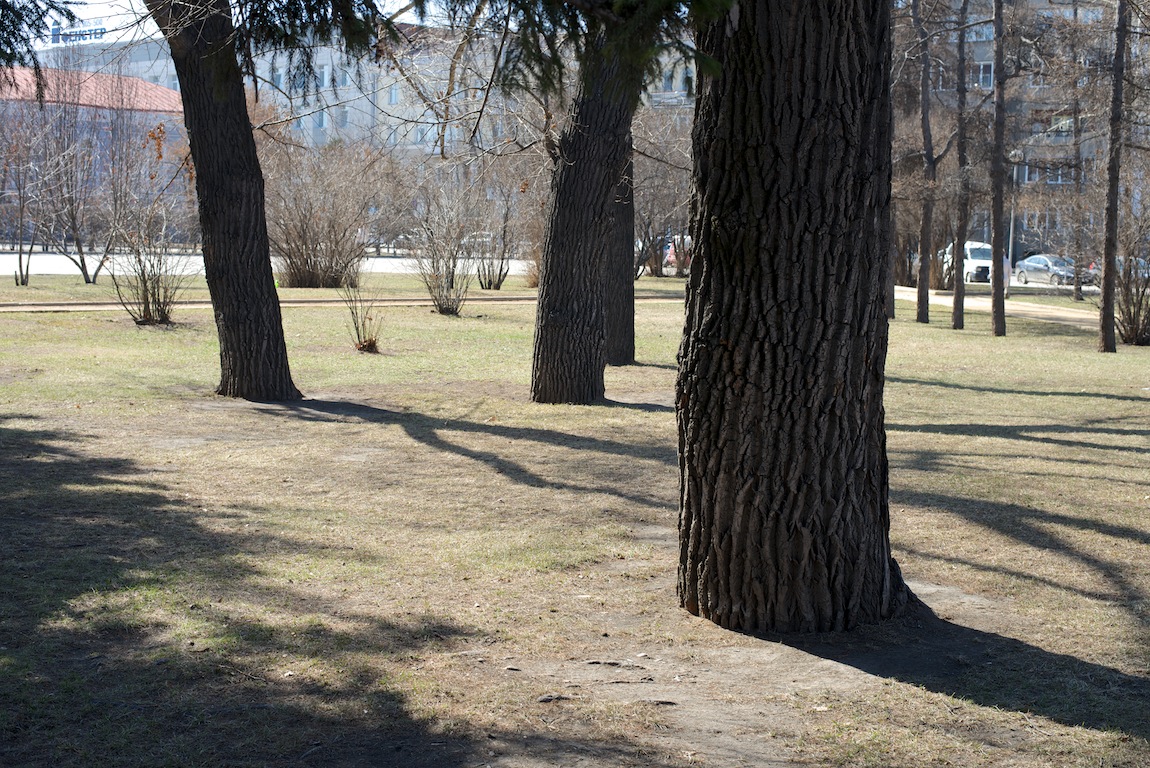 �������� ��������� ������