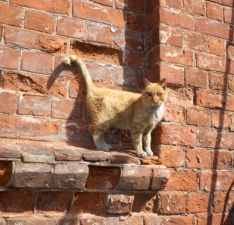 �����, �������, ����� ���������� ���...