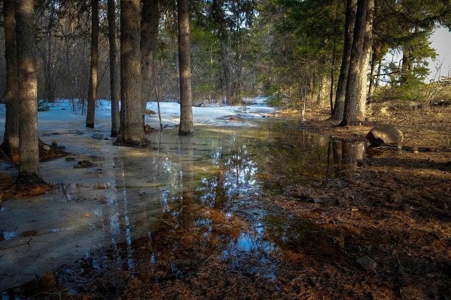 � ���� �����..