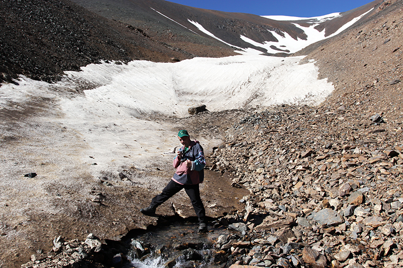 ����! ���� ��� ����!