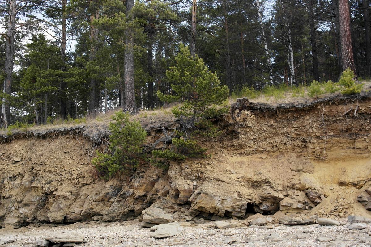 ������ �������