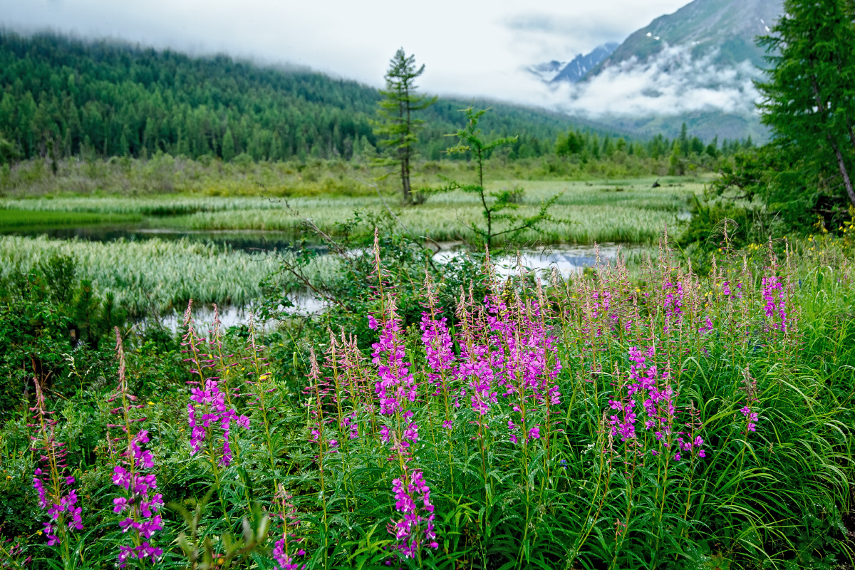 ����-���