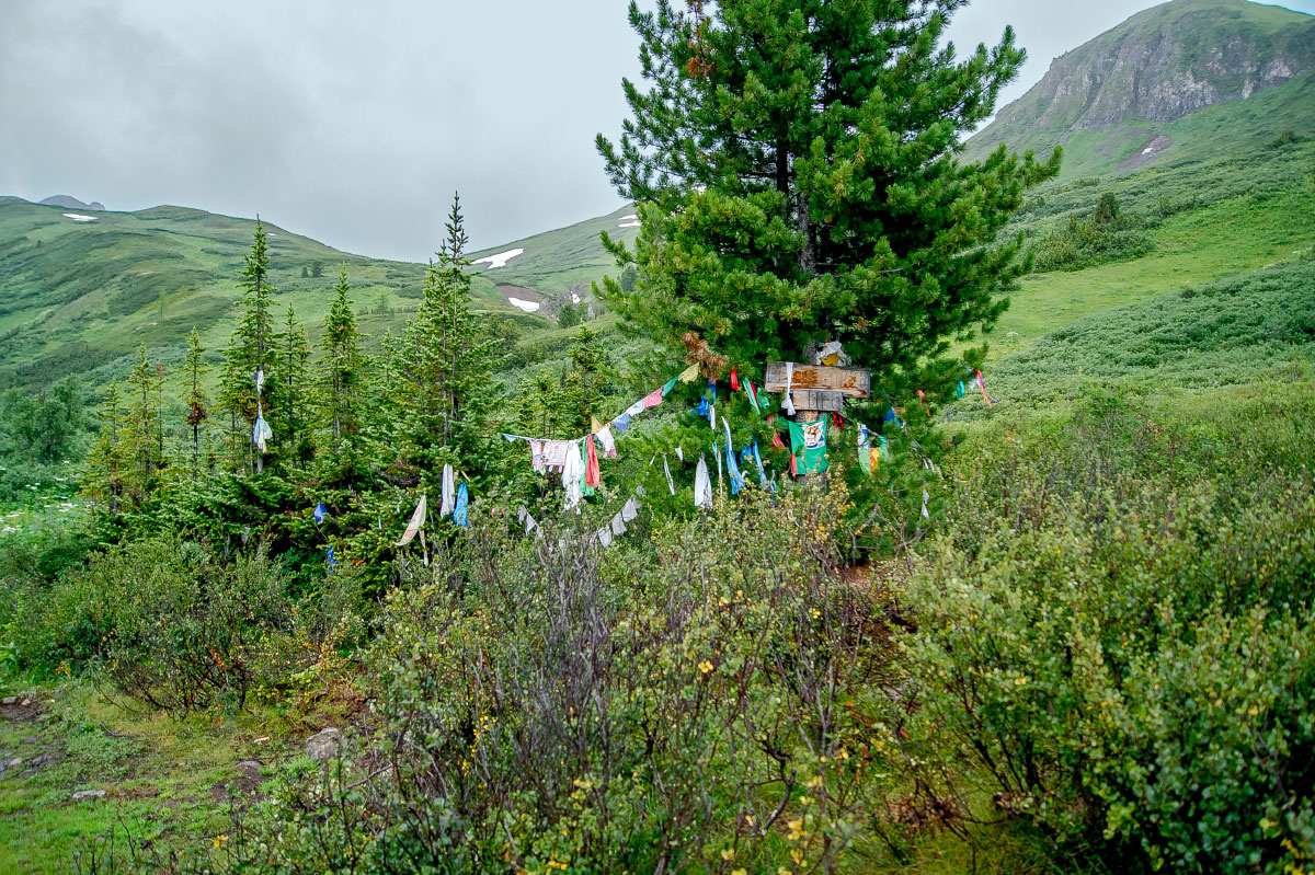 ������� ������� � ����