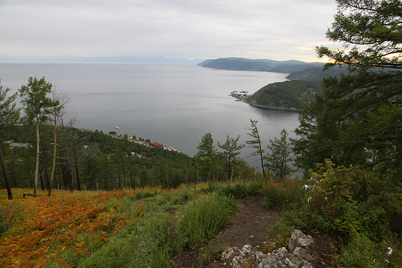 ����� ������� � ���� �����!