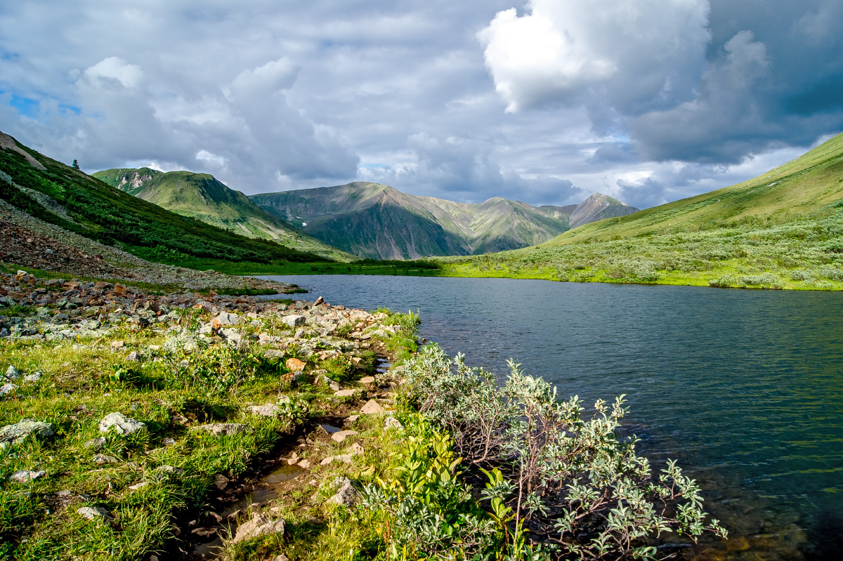 ����� ����� �������� ������-�����