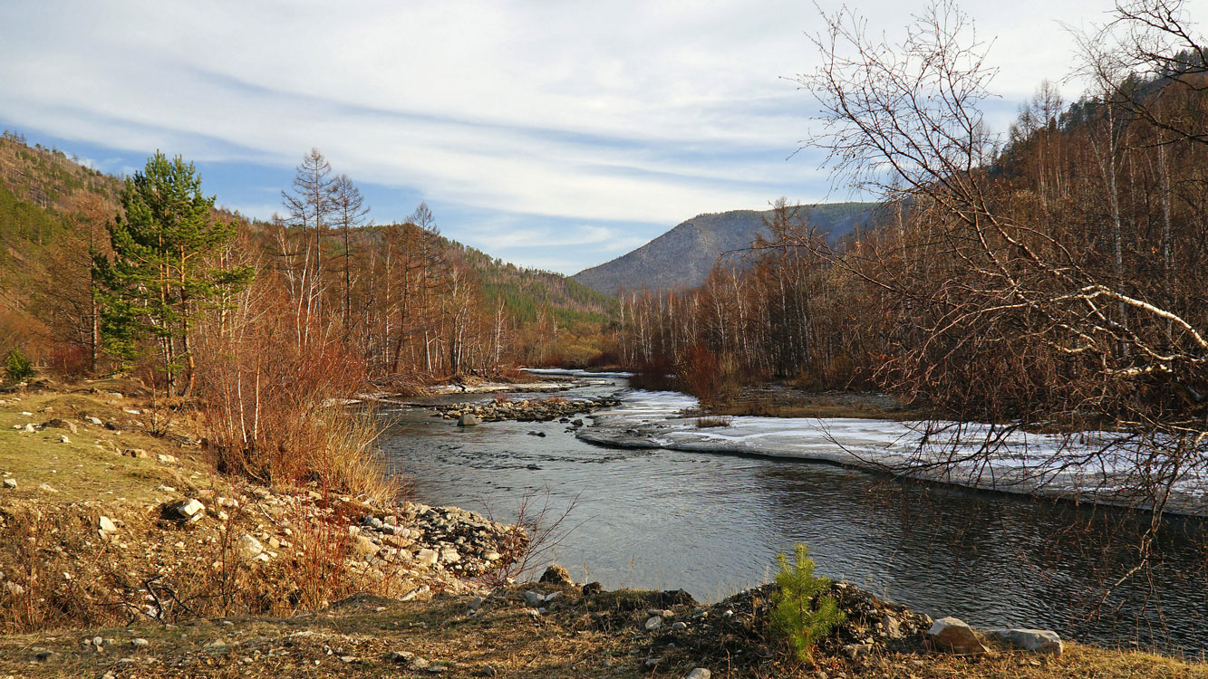 ����� �� �����������