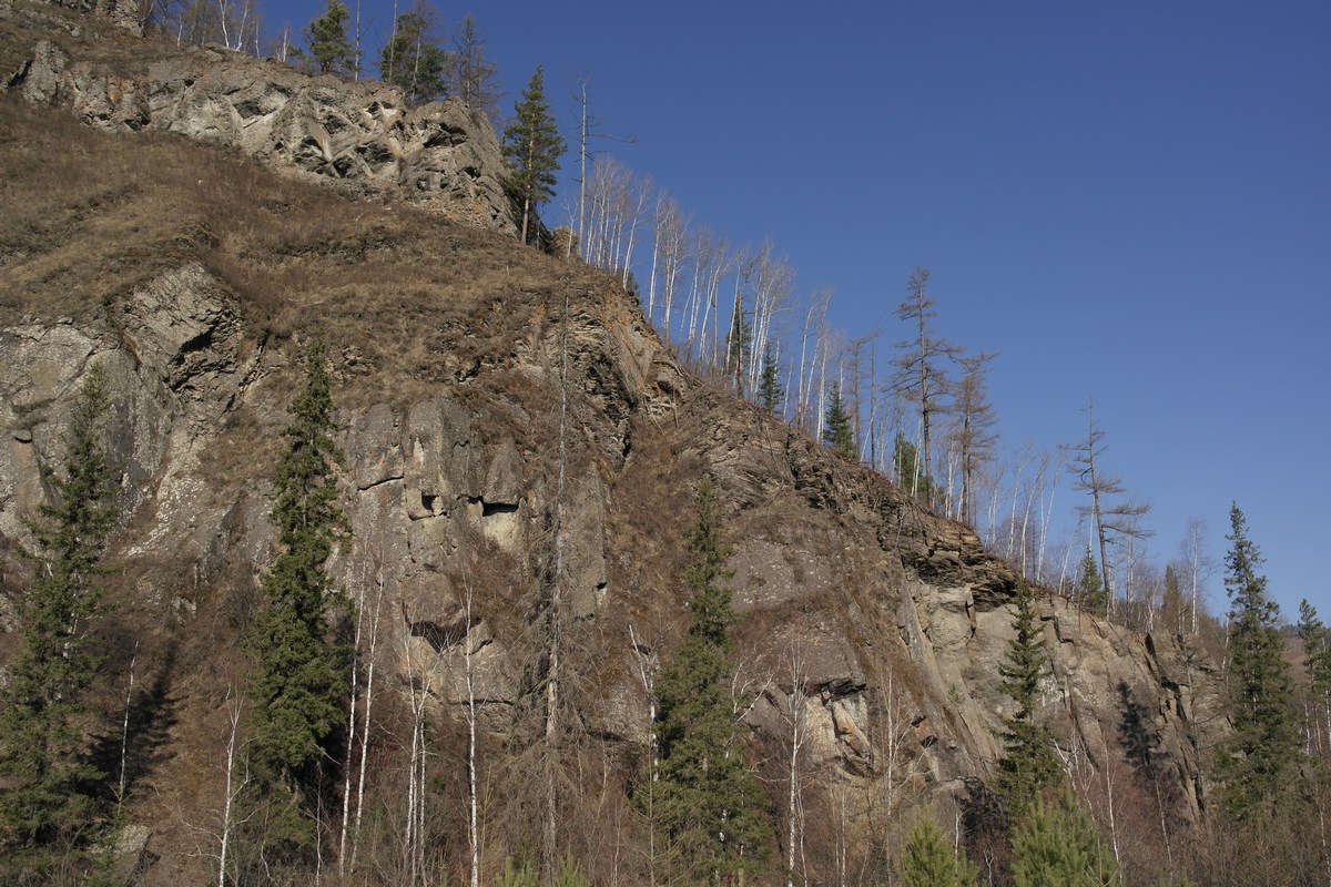 ��� ������ ���������. "���������" �������������.