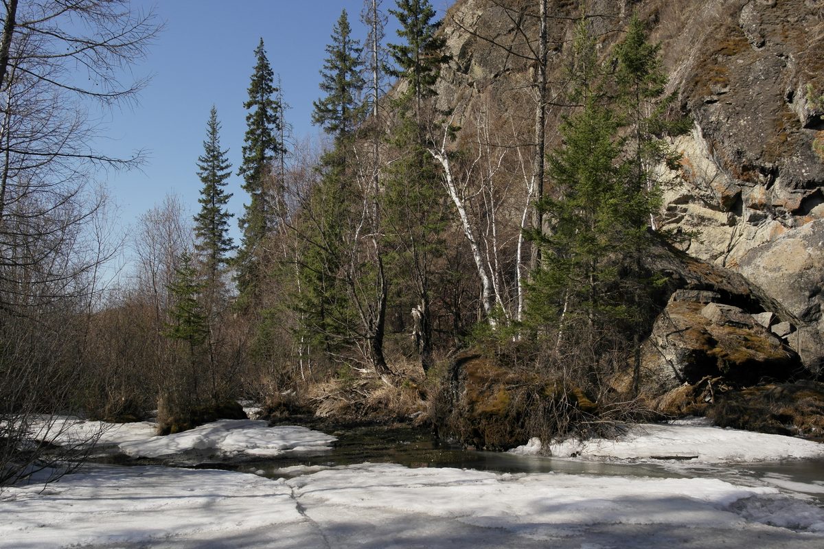 �������� �� ����� ���������