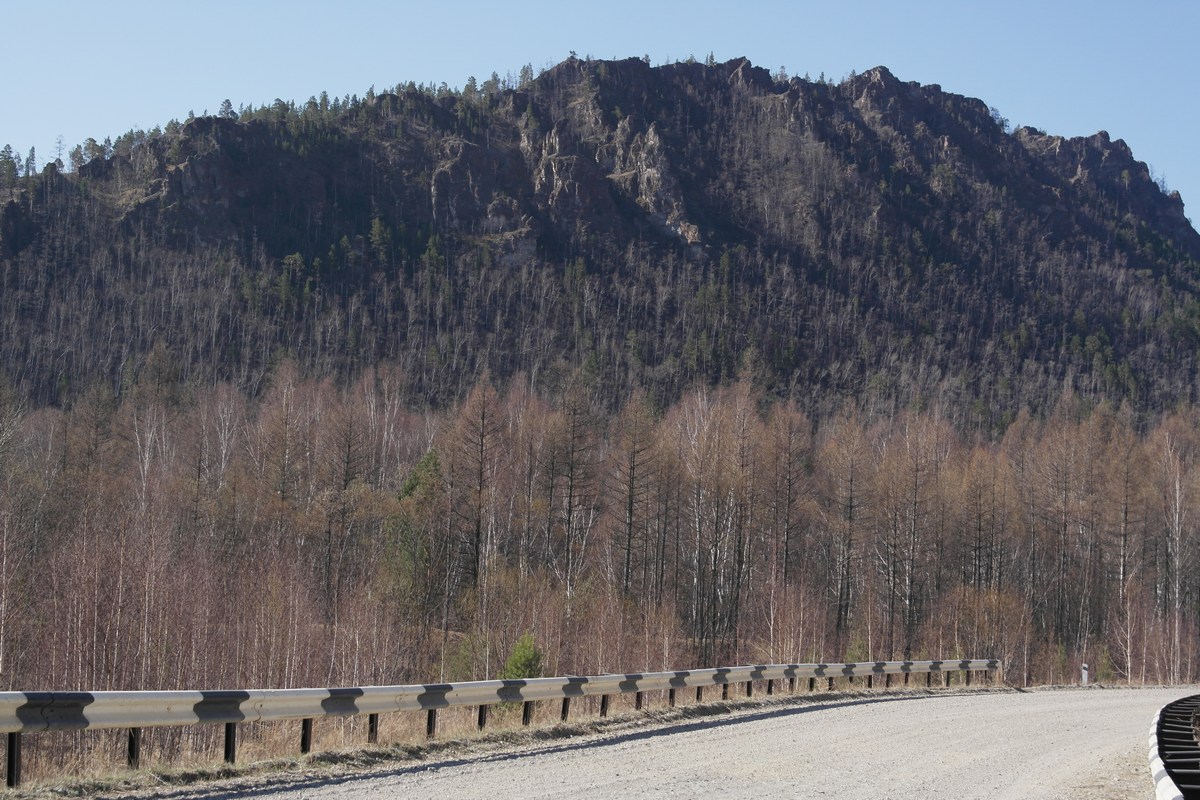 ��� ������� �� ����������� ������