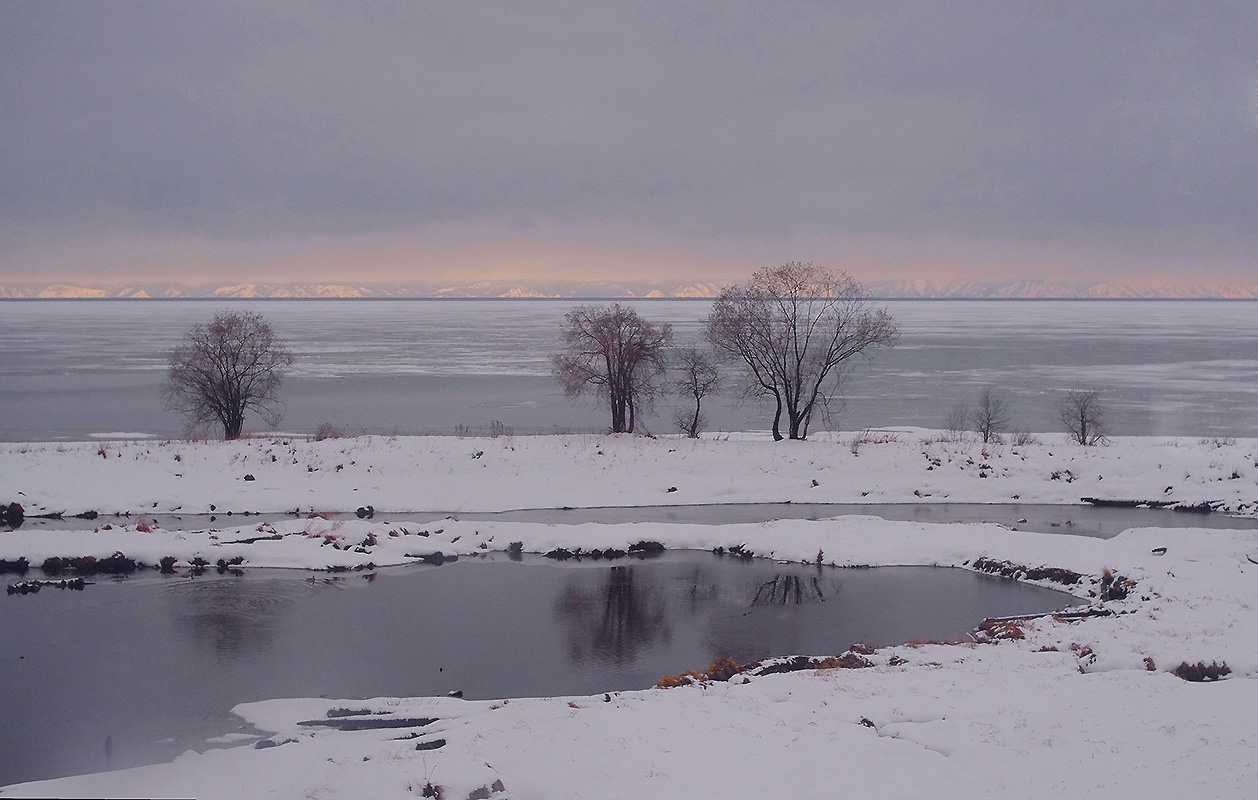 8 ��� ���-�� � ������ ������