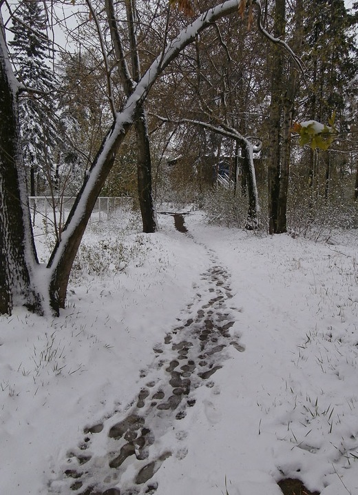 "��������" �������