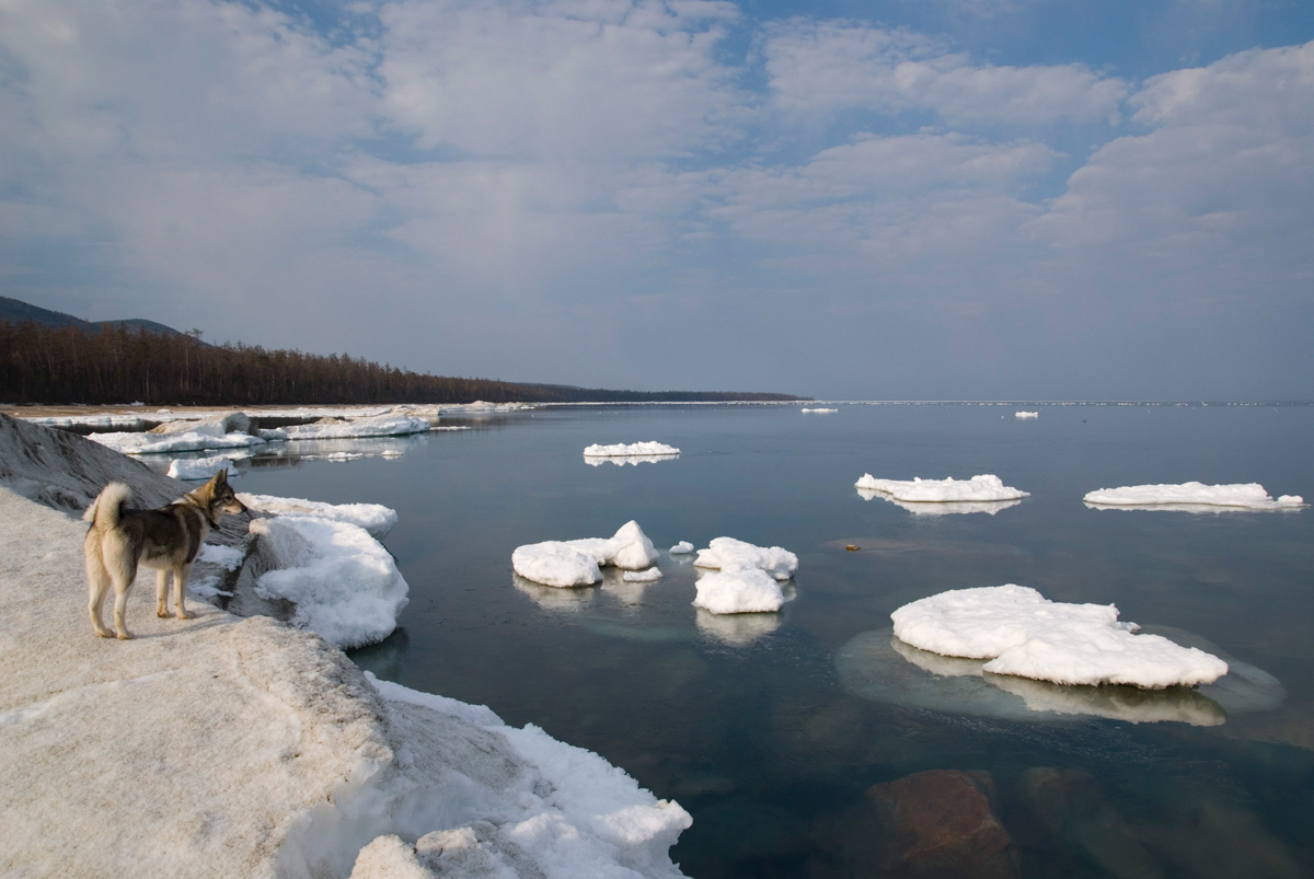 Провожая лёд