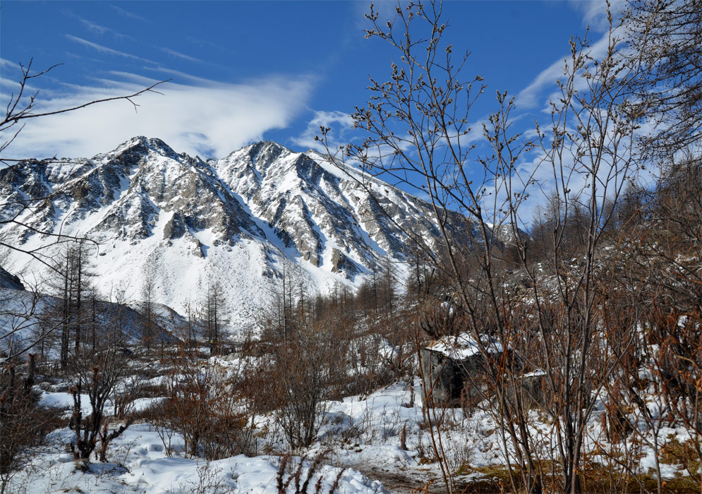 ����� � ����