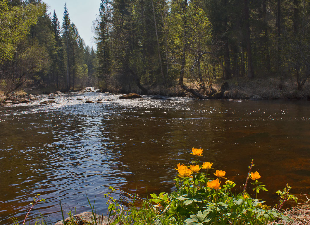 ���� ����������...