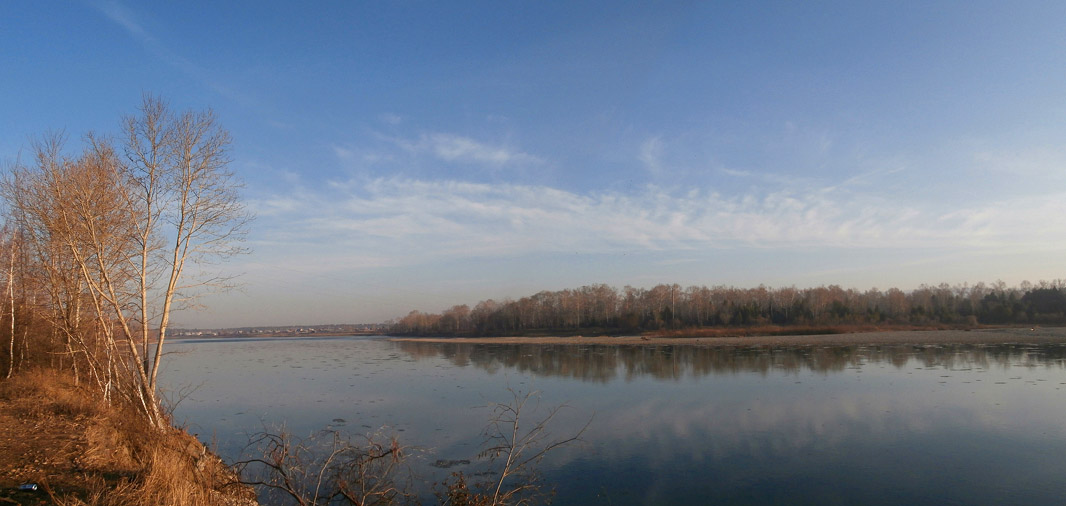 ����� ������ ���� ������