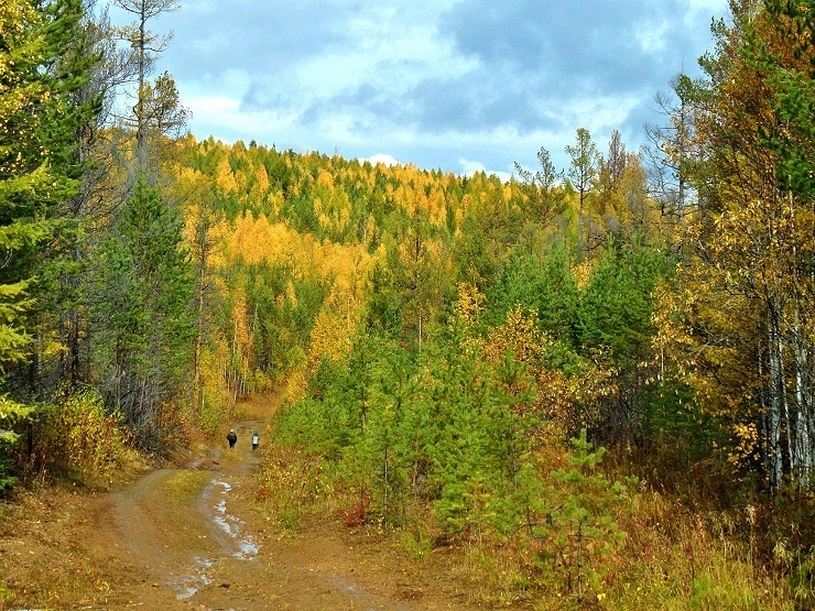 �������� ��������...