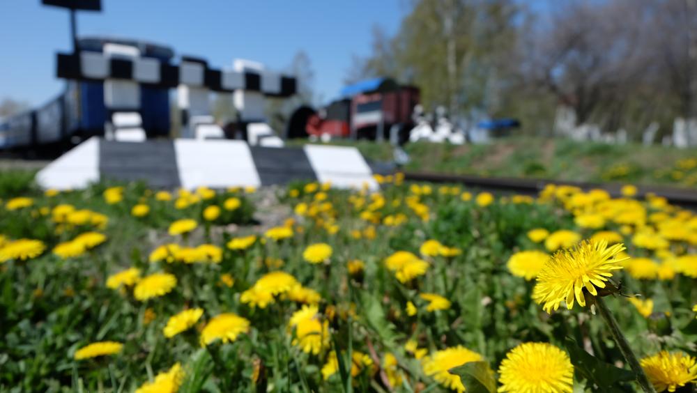 ������� �������� ������