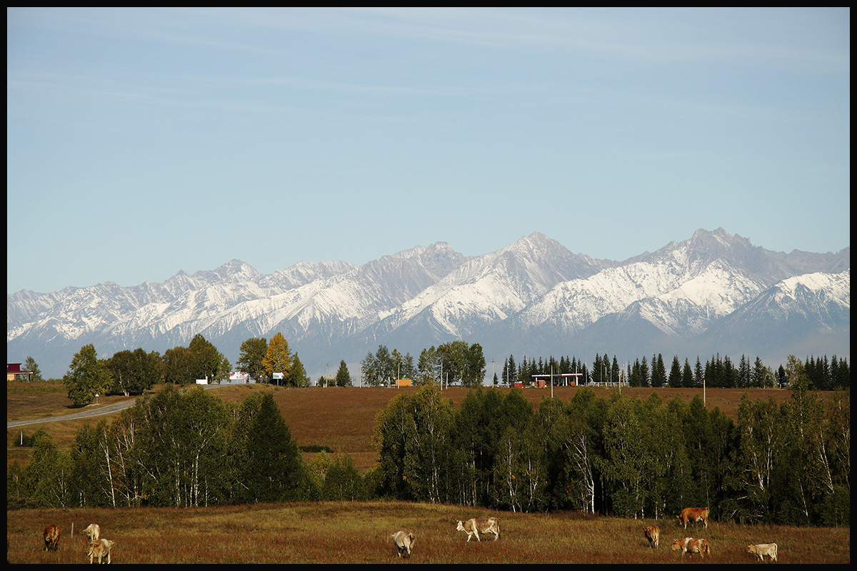 �� ������ �� �����